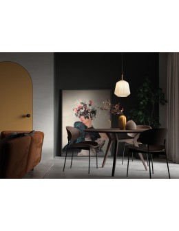 MDC Lampa wisząca TANIA mosiądz mat Ø235 1xE27 klosz biały 579836101 - product 2