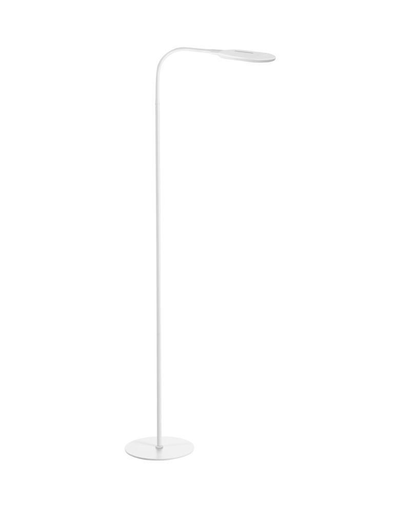 MDC Lampa podłogowa ROBIN biały 10W 620lm CCT zmienna barwa, ściemniacz 577248102