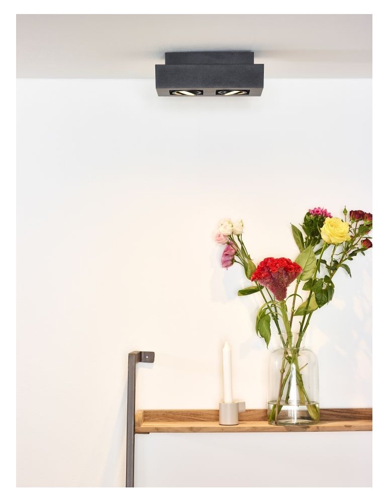 Ceiling luminaires for replaceable light source - Lucide XIRAX Ceiling 2xGU10 black 09119/11/30 - product kolory-swiatla.pl 11