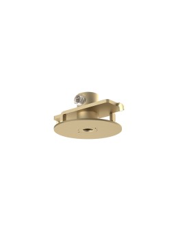 Nowodvorski CAMELEON CANOPY F MINI  Szczotkowane złoto 12442