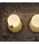 Ideal Lux Lampa Ścienna NINFEA AP1 OTTONE Mosiądz 293646 Ideal Lux Lampa Ścienna NINFEA AP1 OTTONE Mosiądz 293646