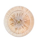 Step Into Design Lampa ścienna LUXIO LED bursztynowa 20 cm ST-3315-2 gold