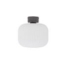 Nowodvorski AURORA Lampa Sufitowa Plafon E27  Szary 11971
