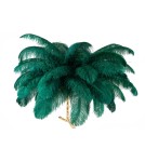 King Home Lampa podłogowa TIFFANY 175 zielona  mosiądz / naturalne pióra (JL0019.GREEN)