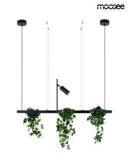 MOOSEE lampa wisząca PLANT LINE czarna (MSE1501100210) - produkt 2