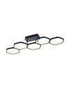 Trio VIGO LED Anthracite Ceiling R62055142