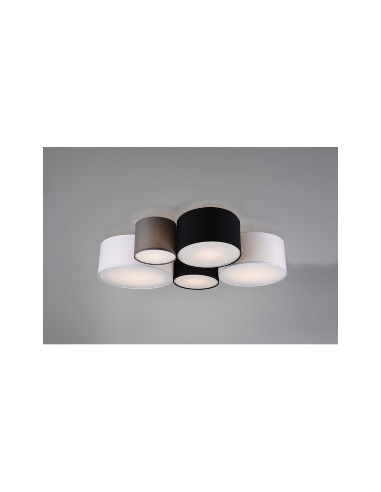 Multicolor ceiling lamps - TRIO HOTEL Ceiling 5xE27 multicolor ash 693900517 - product kolory-swiatla.pl 1
