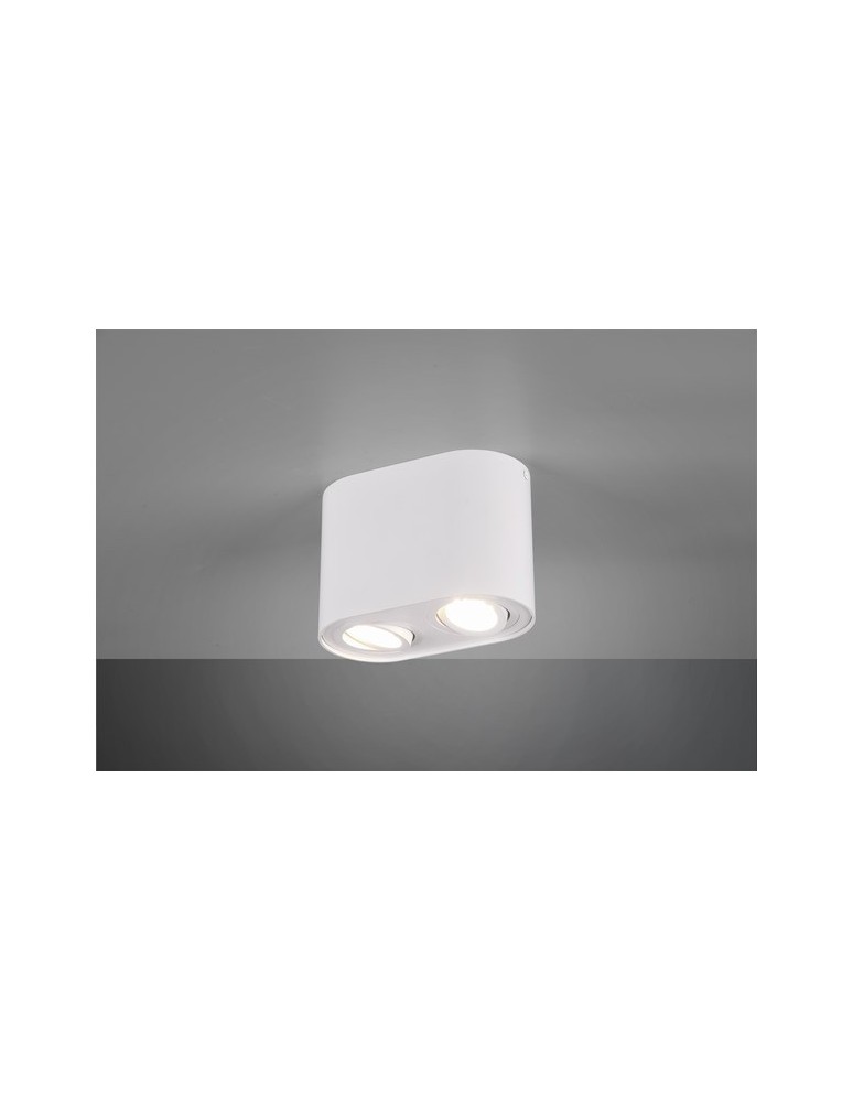Ceiling luminaires for replaceable light source - TRIO COOKIE Ceiling light 2xGU10 white matte 612900231 - product kolory-swiatla.pl 1