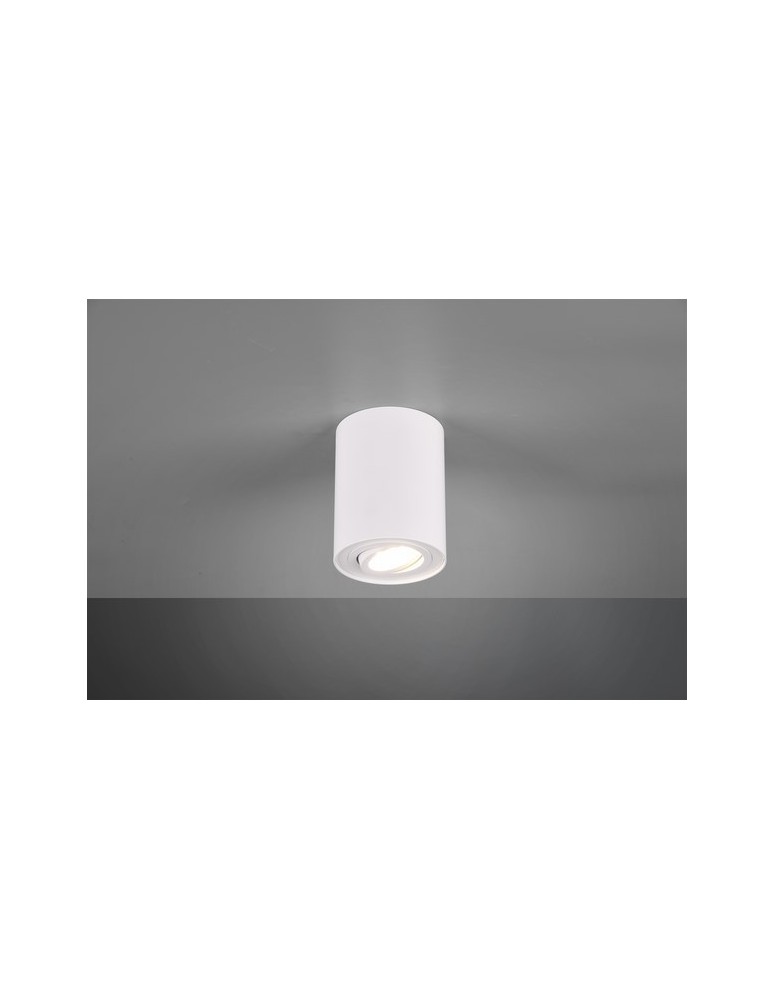 Ceiling luminaires for replaceable light source - TRIO COOKIE Ceiling 1xGU10 white matte 612900131 - product kolory-swiatla.pl 1