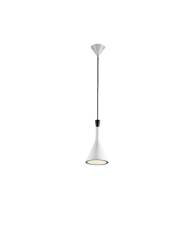 Single pendant lamps - TRIO RODDIK 301100178 Pendant - product kolory-swiatla.pl 1