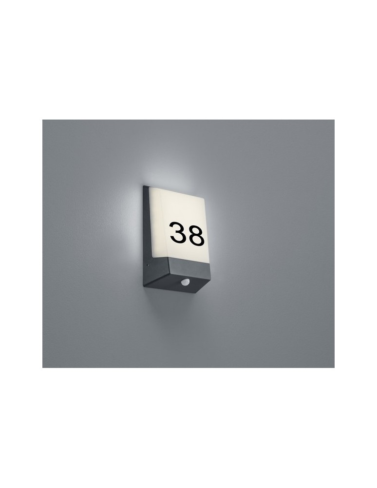 Outdoor lights with motion sensor - TRIO KASAI Wall 228669142 - product kolory-swiatla.pl 1