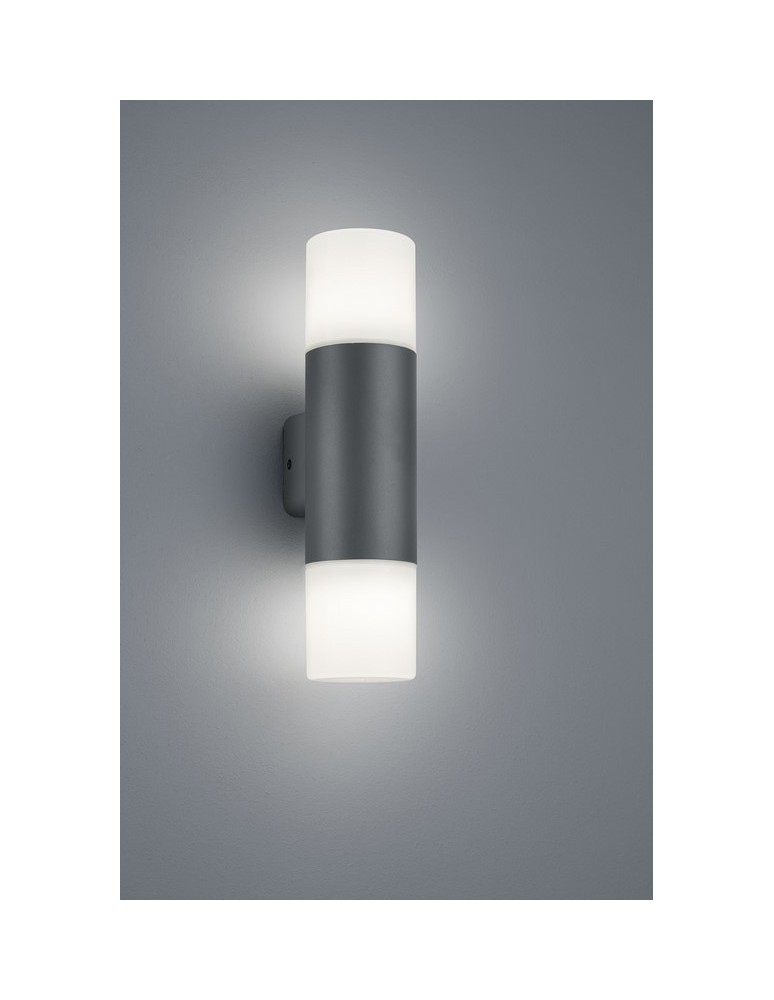 Outdoor wall lamps - TRIO HOOSIC Wall-mounted 2xE27 anthracite 224060242 - product kolory-swiatla.pl 1