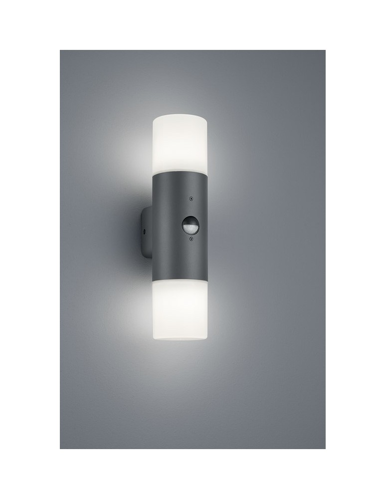 Outdoor lights with motion sensor - TRIO HOOSIC 2 x E27, max. 20W anthracite 222260242 - product kolory-swiatla.pl 1