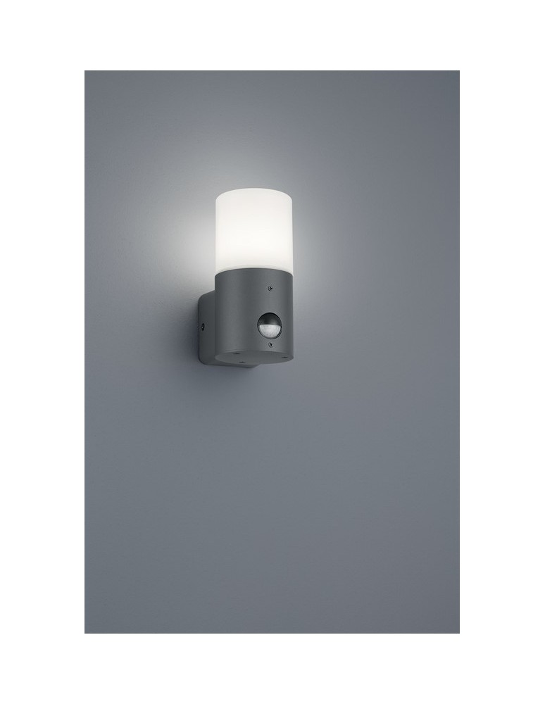Outdoor lights with motion sensor - TRIO HOOSIC 1 x E27, max. 20W anthracite 222260142 - product kolory-swiatla.pl 1