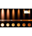 Plafonds - Lucide XIRAX Ceiling 4xGU10 black 09119/21/30 - product 15
