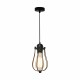 Zuma Line HORTA Lampa Wisząca E27 60W P14030C