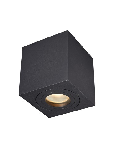 Zuma Line QUARDIP SL SPOT Black GU10 50W IP44 ACGU10-161