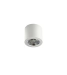 Ceiling luminaires for replaceable light source - Azzardo ALIX 230V WHITE 1xES111 Surface-mounted White AZ3541 - product 1