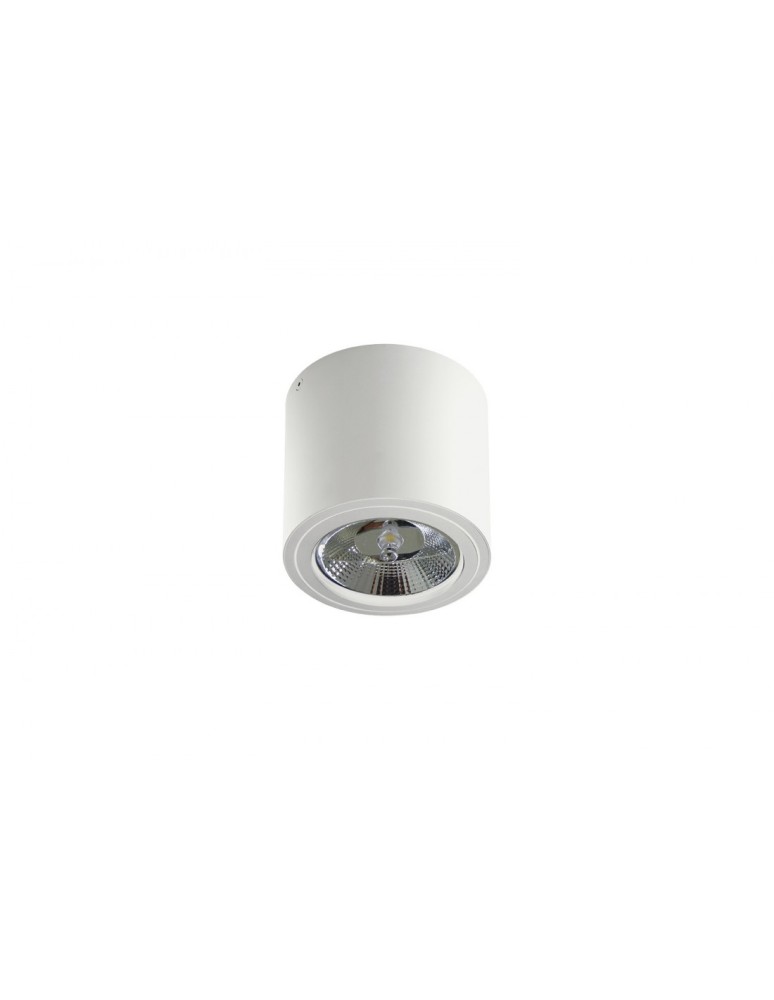 Ceiling luminaires for replaceable light source - Azzardo ALIX 230V WHITE 1xES111 Surface-mounted White AZ3541 - product kolory-swiatla.pl 1