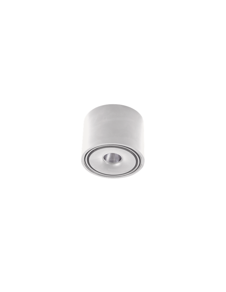 LED ceiling luminaires - Azzardo BOSTON TUBE WHITE 1xLED Surface Mounted White AZ3469 - product kolory-swiatla.pl 1
