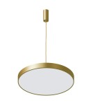 LED pendant lamps - Italux Orbital LED 60W 3600lm 3000K Pendant Gold Sandblasted 5361-860RP-GD-3 - product 3