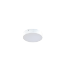 Round Plafonds - Azzardo MONZA II R 30 3000K WH 1xLED Ceiling Light White AZ3795 - product 1