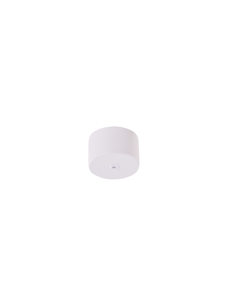 Headliners for lighting systems - Azzardo ZIKO BASE 1 WHITE Ceiling Base White AZ3119 - product kolory-swiatla.pl 1