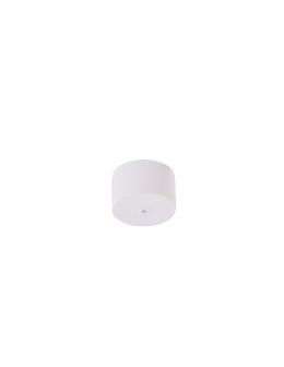 Azzardo ZIKO BASE 1 WHITE Ceiling Base White AZ3119
