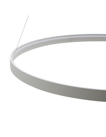 Zuma Line Wisząca Circle LED 50W 3000K śr 78cm dł. linek 250cm LA0716/1 - WH - produkt 2